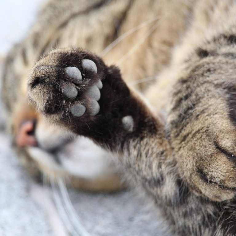 Bildquelle Sandra Gregortschek